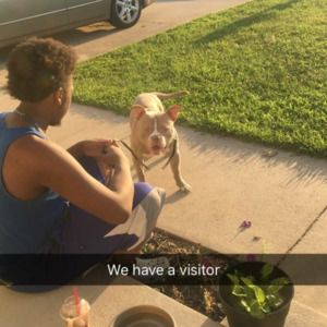 Meet your Posher, Scottie